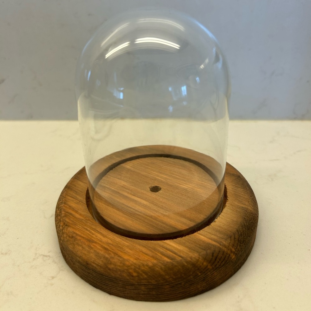 Vintage Hazels 1960s Glass Display Dome with Wood Base. Cloche